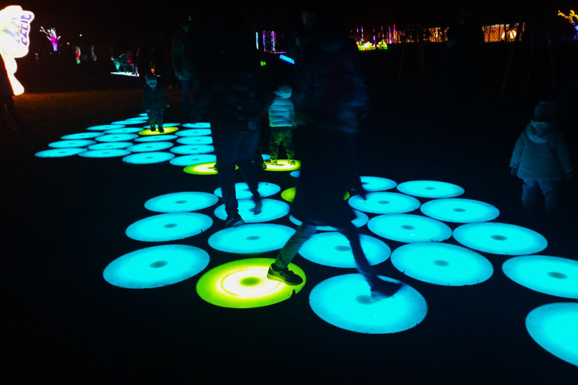 Garden of Lights w Szczecinie