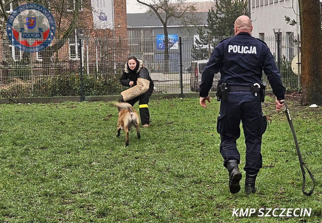 Nowe psy w zachodniopomorskiej policji