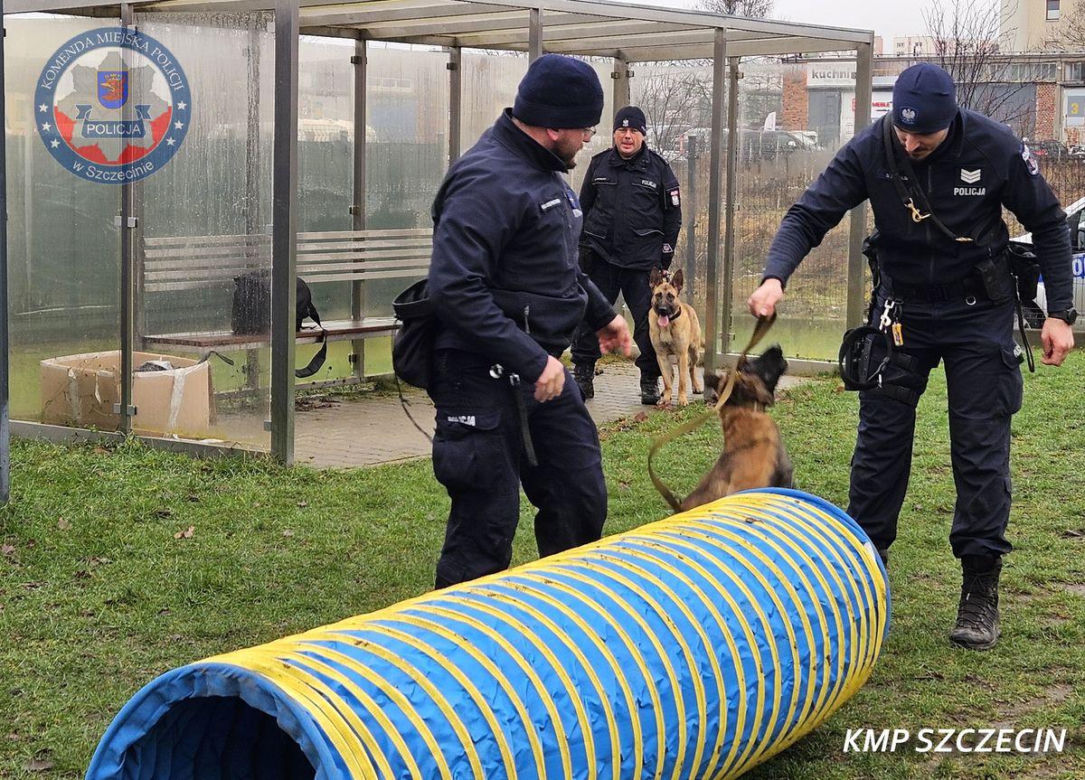 Nowe psy w zachodniopomorskiej policji