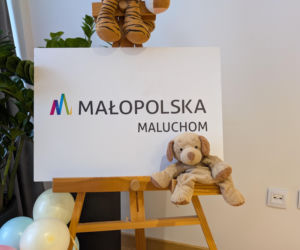 Wsparcie Małopolan
