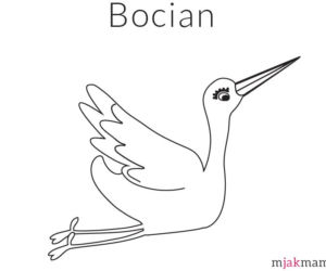 ptaki kolorowanki - bocian