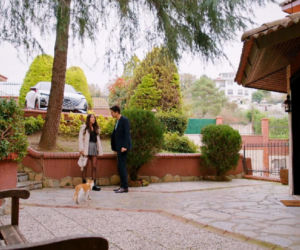 Miłość i nadzieja, odcinek 340. Zeynep, Ege