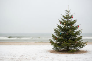 Marta Kaczyńska pokazała zdjęcie z choinką. Co symbolizuje jej samotność nad Bałtykiem?
