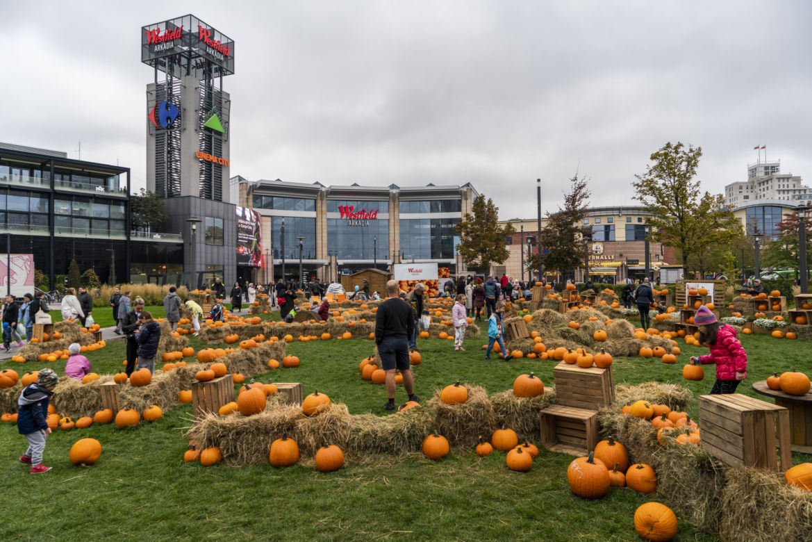 Farma Dyniowa przed galerią handlową Westfield Arkadia