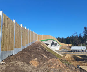 Obwodnica Wąchocka (marzec 2026)