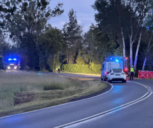 Śmiertelny wypadek pod Warszawą. Ford rozbił się na drzewie