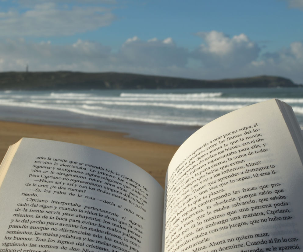 Czytanie na plaży - w Gdańsku będzie to możliwe dzięki plażowym bibliotekom