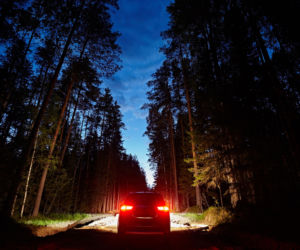  Kierowca rozjechał 14-letnią dziewczynkę. W rowie spała jej koleżanka. Koszmar na Opolszczyźnie