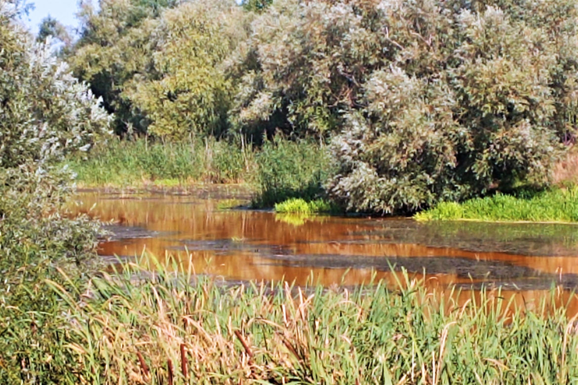 Zanieczyszczone Jezioro Słoneczne