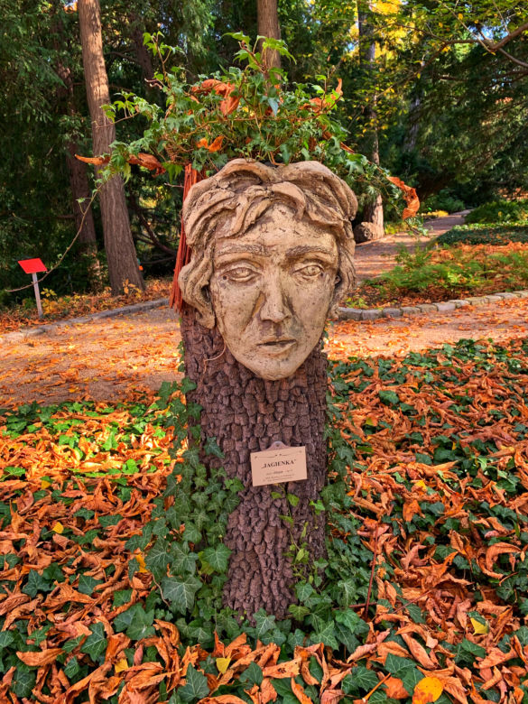 Jesień w ogrodzie botanicznym we Wrocławiu