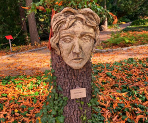 Jesień w ogrodzie botanicznym we Wrocławiu