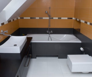 Zdjęcie 2284