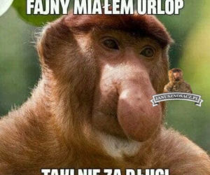 Urlop: memy