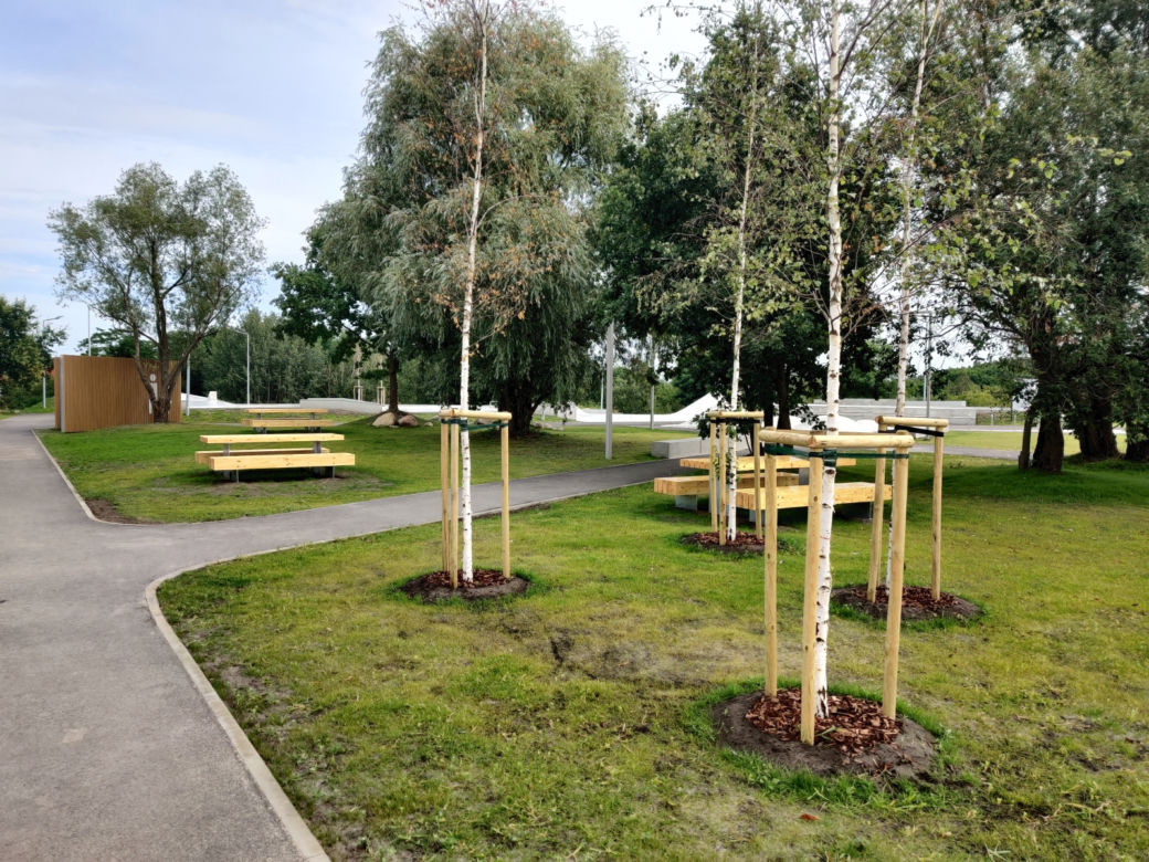 Skatepark przy ul. Maciejowickiej