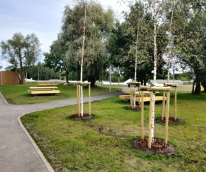 Skatepark przy ul. Maciejowickiej