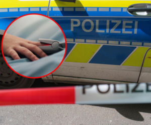 Wilki zaatakowały 8-latkę w zoo. Dziecko walczy o życie