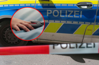 Wilki rzuciły się w zoo na 8-latkę. Dziewczynka walczy o życie