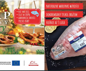 KARP. Ceny w marketach 2025