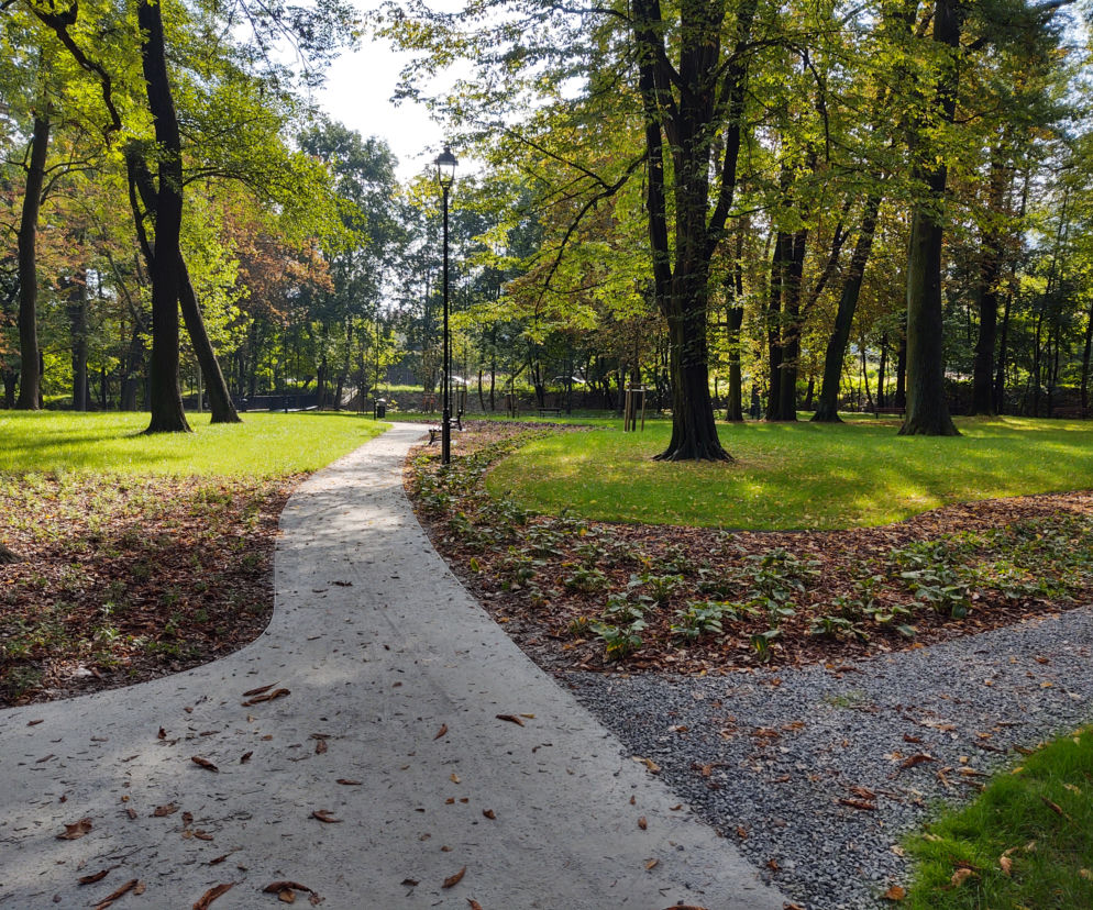 Park Jerzmanowskich