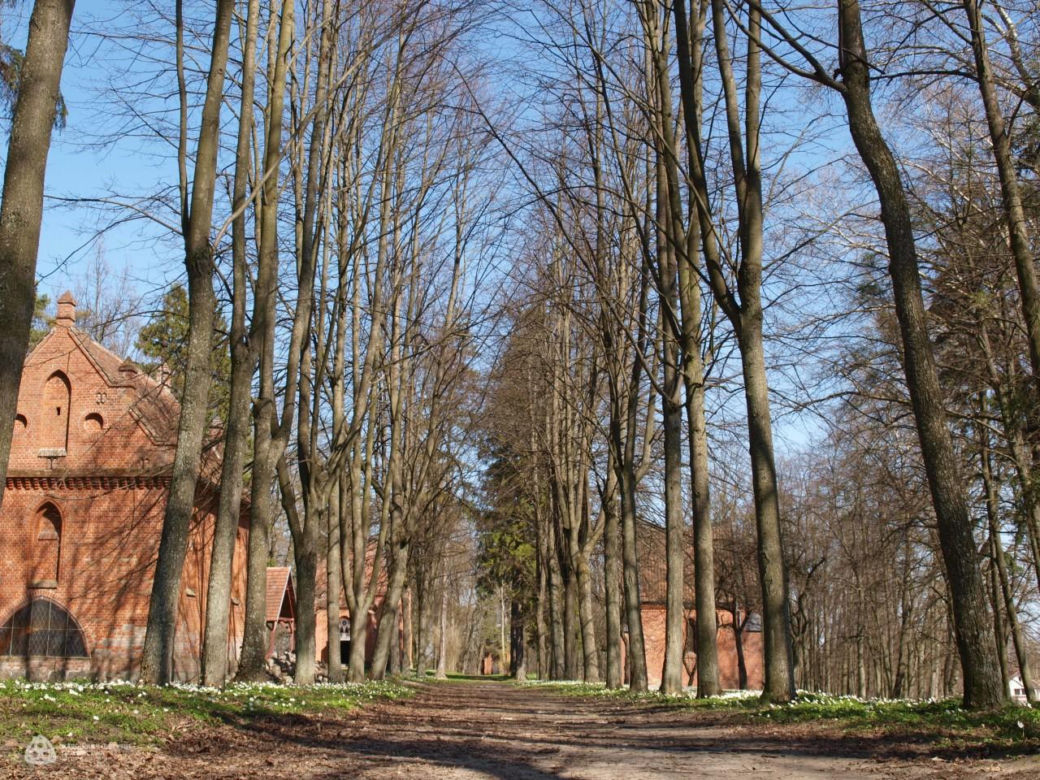 Malutką wieś nazywają "Warmińską Jerozolimą". Przyciąga prawdziwe tłumy