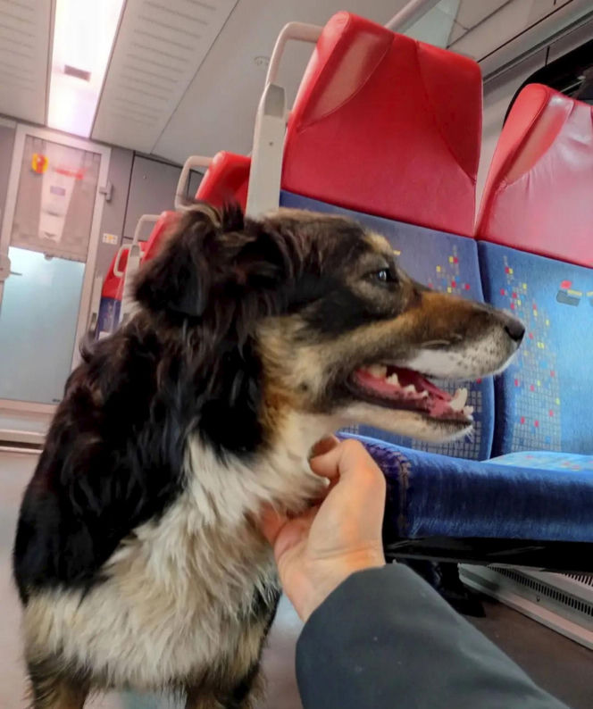 O Klarze, która jeździła koleją