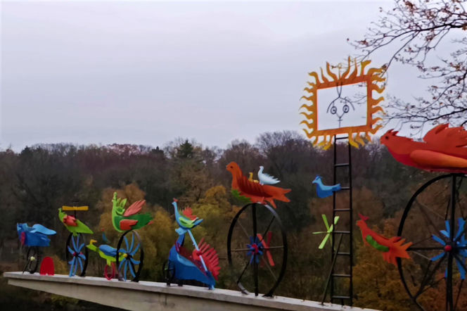 "Ogniste Ptaki" w Parku Kasprowicza w Szczecinie