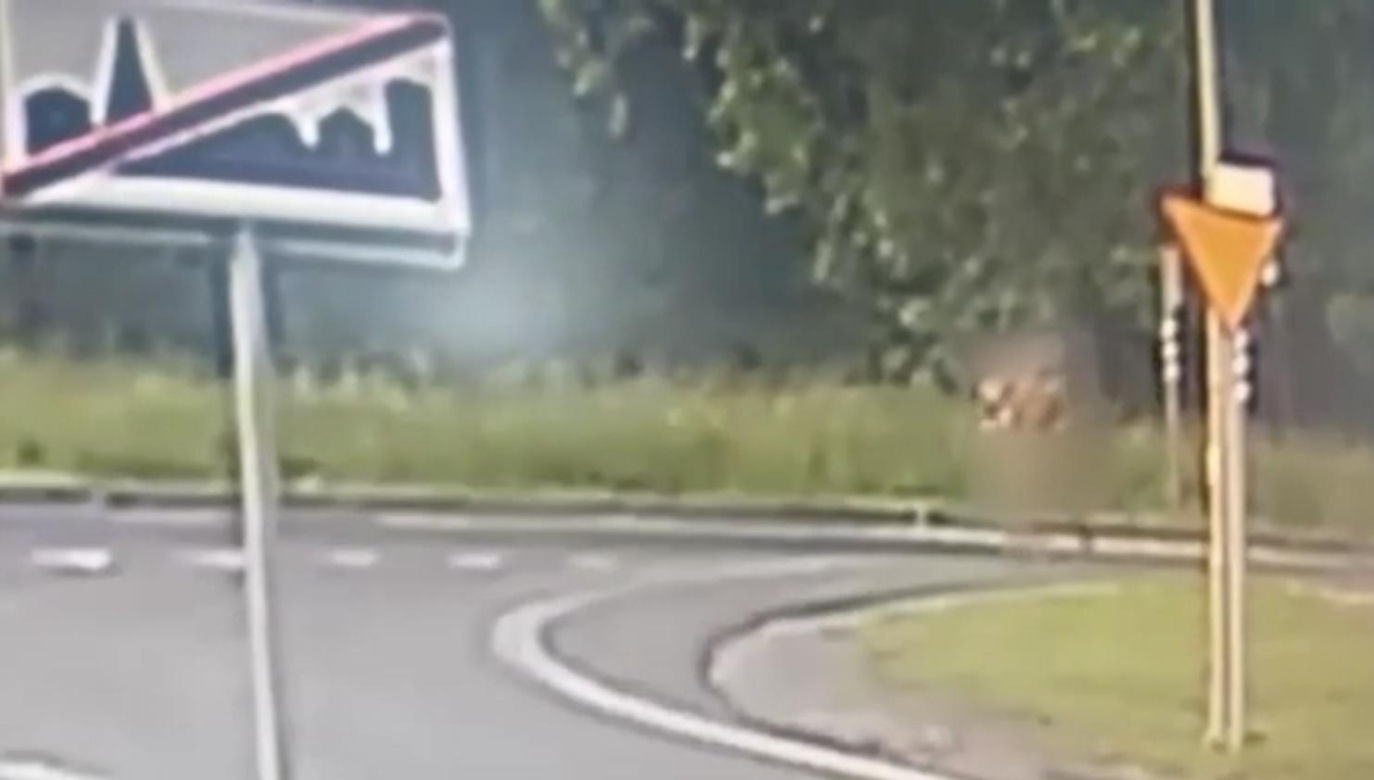 Lubin. Etiopczycy bez ubrań biegali po ulicach miasta