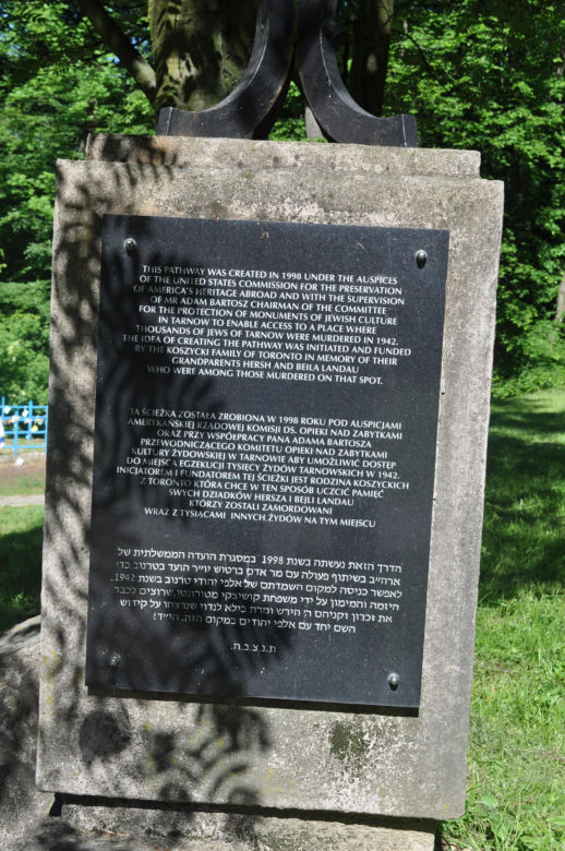 Las Buczyna w Zbylitowskiej Górze. To największy cmentarz ofiar Holocaustu w Polsce