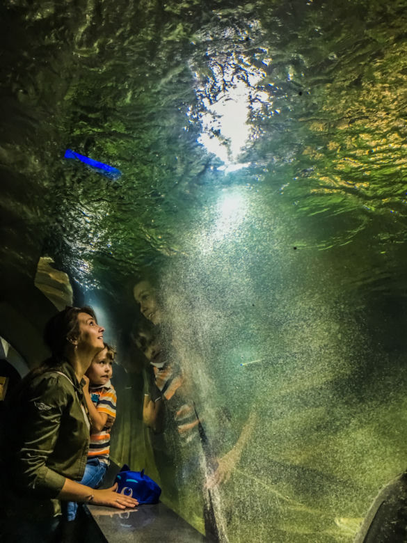 Kasprzyk, Kurowska i Kaliszuk w Oceanarium
