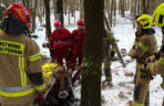 Krowa omal nie utonęła w bagnie. Z pomocą ruszyli strażacy