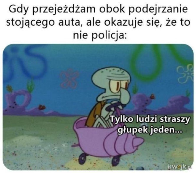 Święto Policji wypada 24 lipca. Mundurowi odbiorą życzenia, a internet już szykuje swoje memy