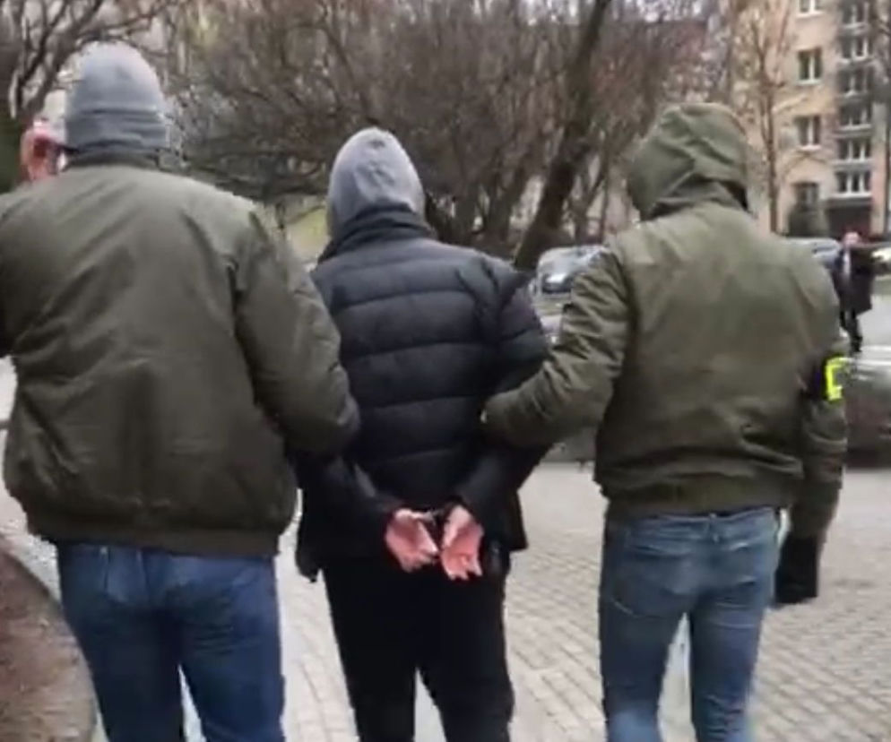 Poznań: Wymieszali OGÓRKI z MARIHUANĄ! Ponad ćwierć tony narkotyków! To zielone i tamto zielone