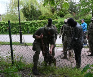 Szokujące znalezisko w miejscu zaginięcia Iwony Wieczorek. Niewiarygodne, co odnalazł Rutkowski [Rutkowski Story wideo]