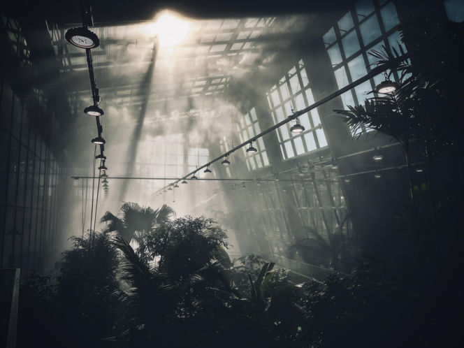 Egzotarium w Sosnowcu