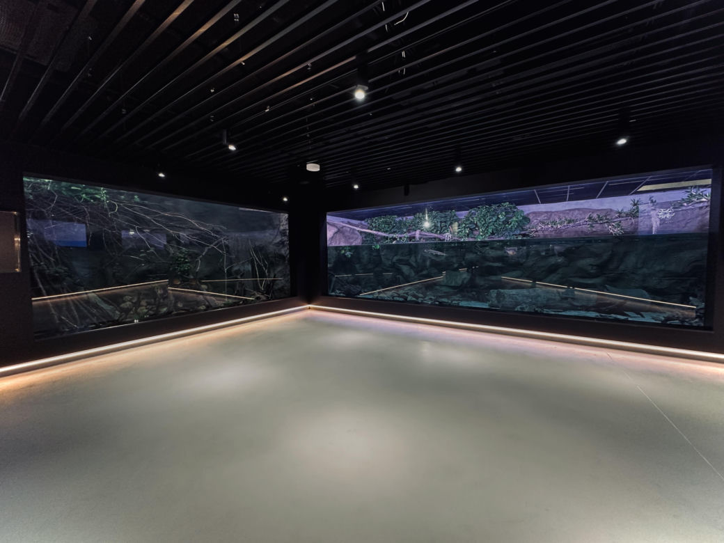 Nowe Egzotarium w Sosnowcu