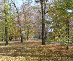 Tarnów: Pijesz alkohol w plenerze w tych miejscach? Mandat masz jak w banku!