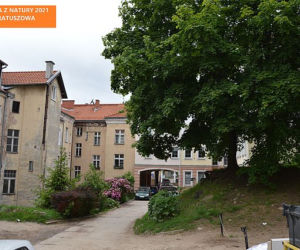Podwórka z Natury 2021. Trzy miejsca w Olsztynie przejdą metamorfozę