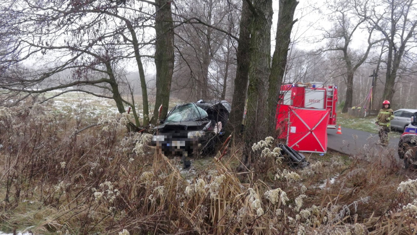 Tragedia pod Wołominem. Wypadła z drogi, rozbiła się na drzewie. 19-latka nie żyje