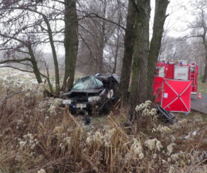 Tragedia pod Wołominem. Wypadła z drogi, rozbiła się na drzewie. 19-latka nie żyje