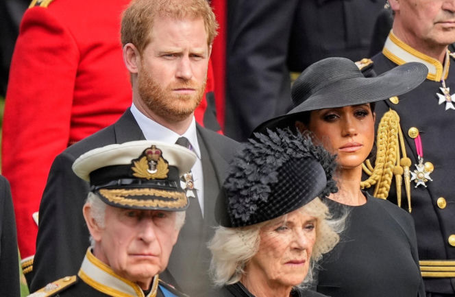 Harry i Meghan uciekli z USA w panice w jedną noc?! Zostawili rybki, nie powiedzieli nic szkole