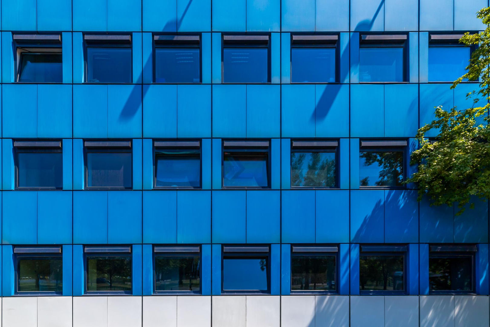Kluby Studenckie w Warszawie. Riviera Remont