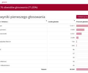 Wybory prezydenckie 2020 w woj. śląskim. W Katowicach i Sosnowcu wygrał Rafał Trzaskowski [WYNIKI W MIASTACH I POWIATACH]