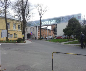 Szczury pożerają zwłoki w kostnicy