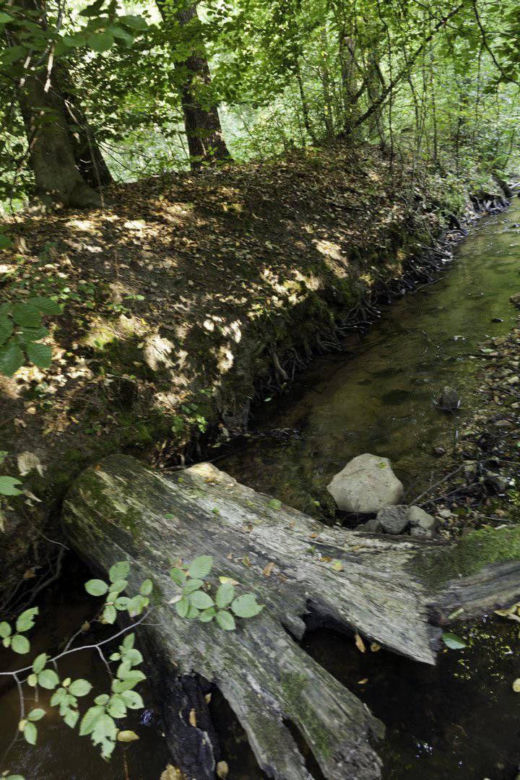 To najmniejszy park krajobrazowy w województwie śląskim. Do niedawna był najmniejszy w Polsce