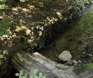 To najmniejszy park krajobrazowy w województwie śląskim. Do niedawna był najmniejszy w Polsce