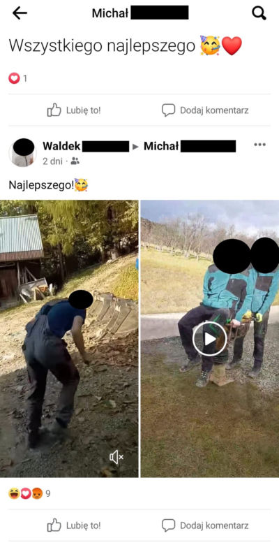 Młodzi ludzie znęcali się nad kotami 