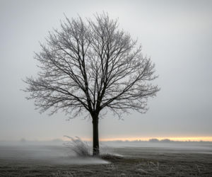 Opole 20.11.2025: Lodowaty atak na miasto! Czy przetrwasz ten dzień?