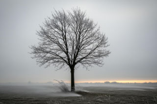 Opole 20.11.2025: Lodowaty atak na miasto! Czy przetrwasz ten dzień?