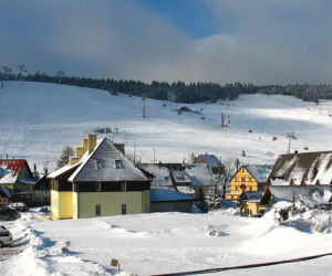 Zieleniec