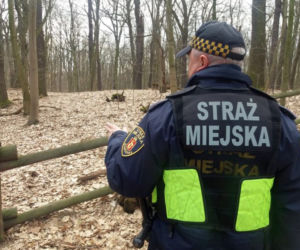 Dzień Wagarowicza. Gdzie świętowała warszawska młodzież?